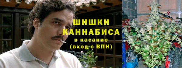 МДПВ Алзамай